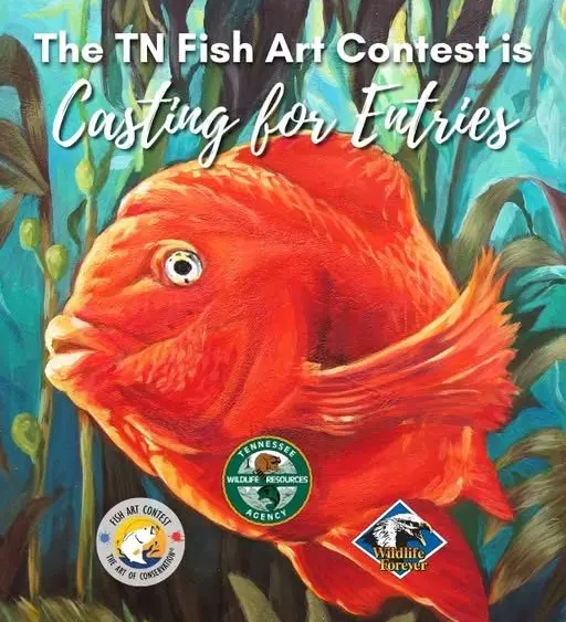 twra-fish-art