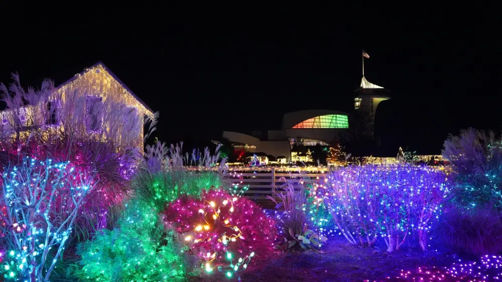 dpa-let-it-glow-w-lts-4