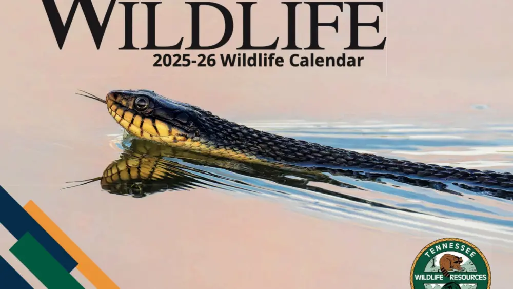twra-calendarartwork25_26