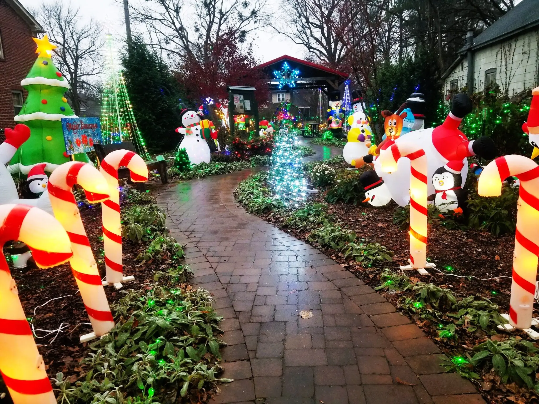ap-christmas-garden