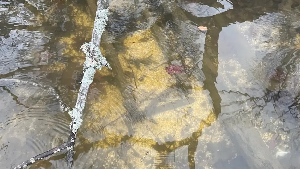 twra-old-hickory-duck-blind