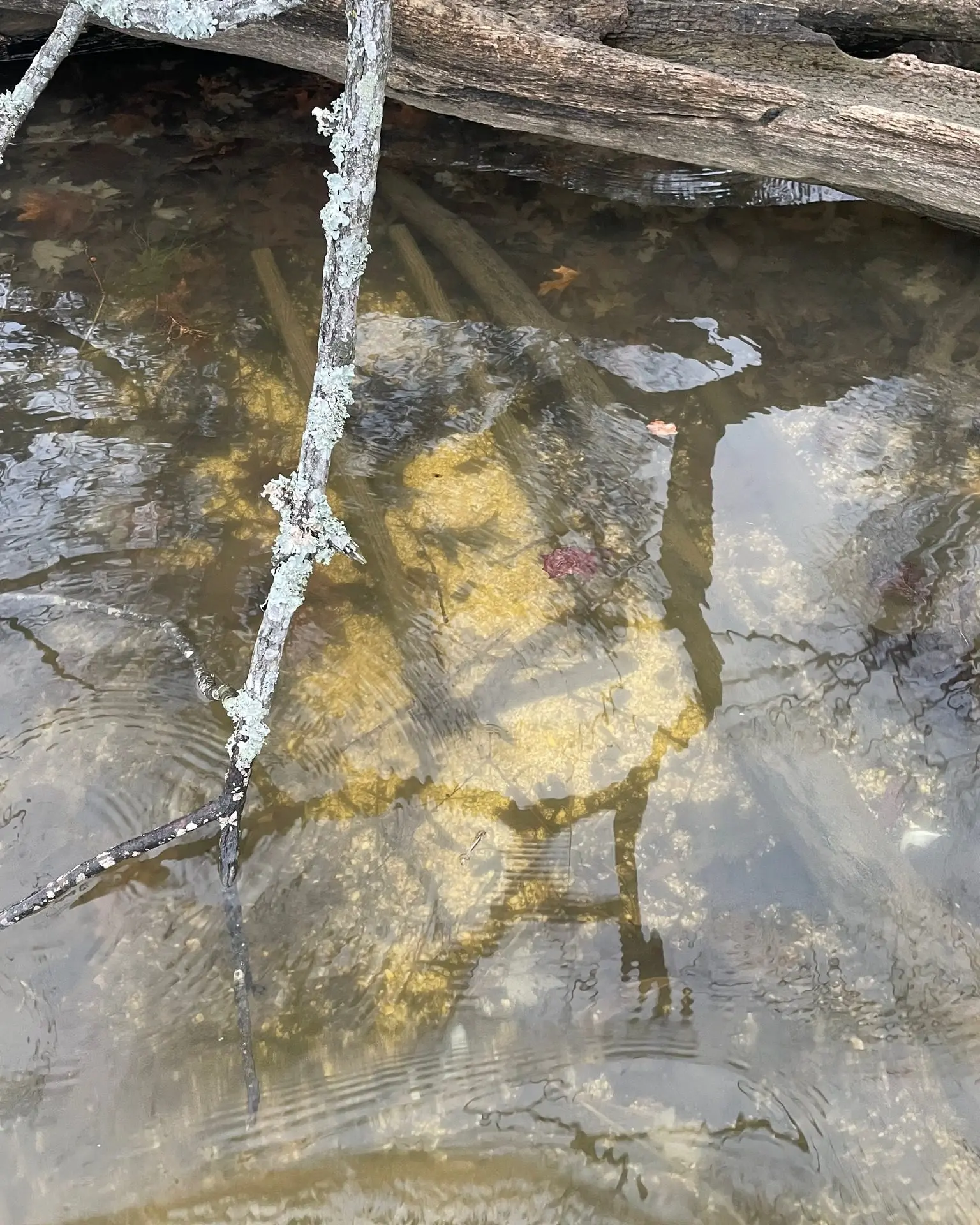 twra-old-hickory-duck-blind