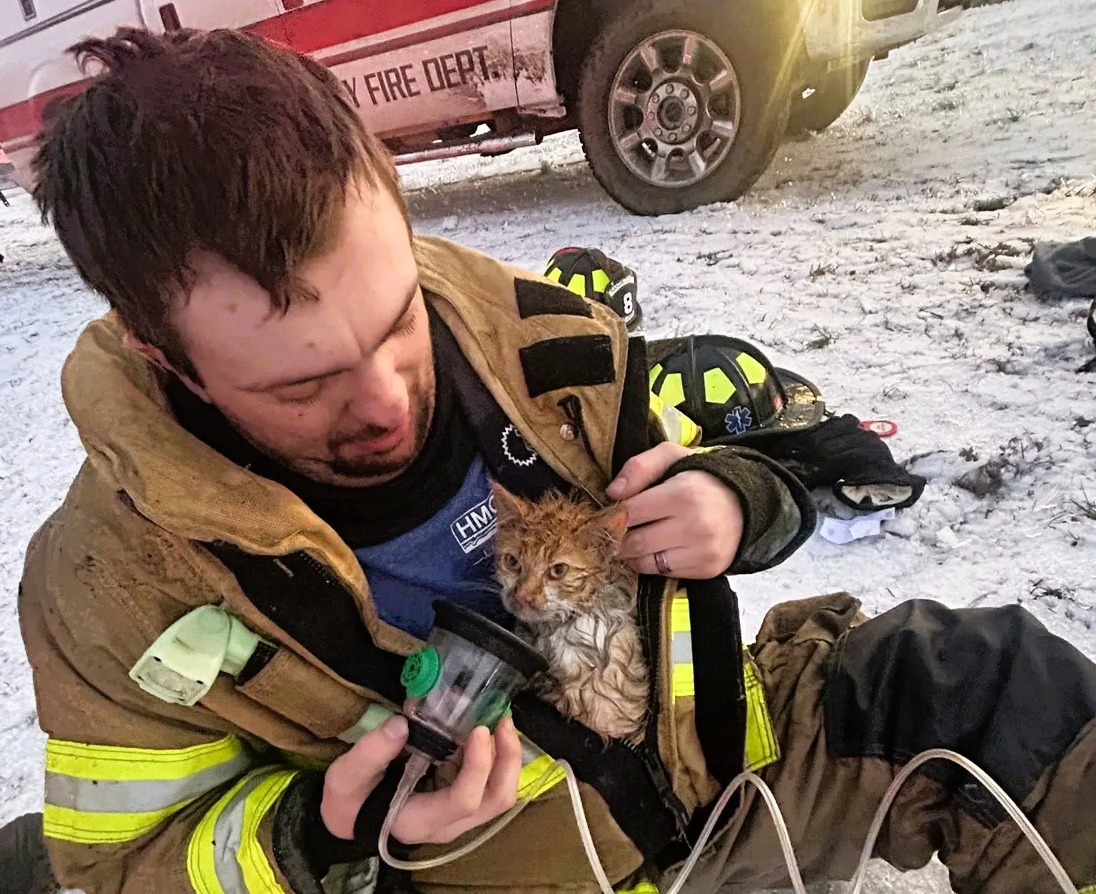 hardin-co-cat-rescue