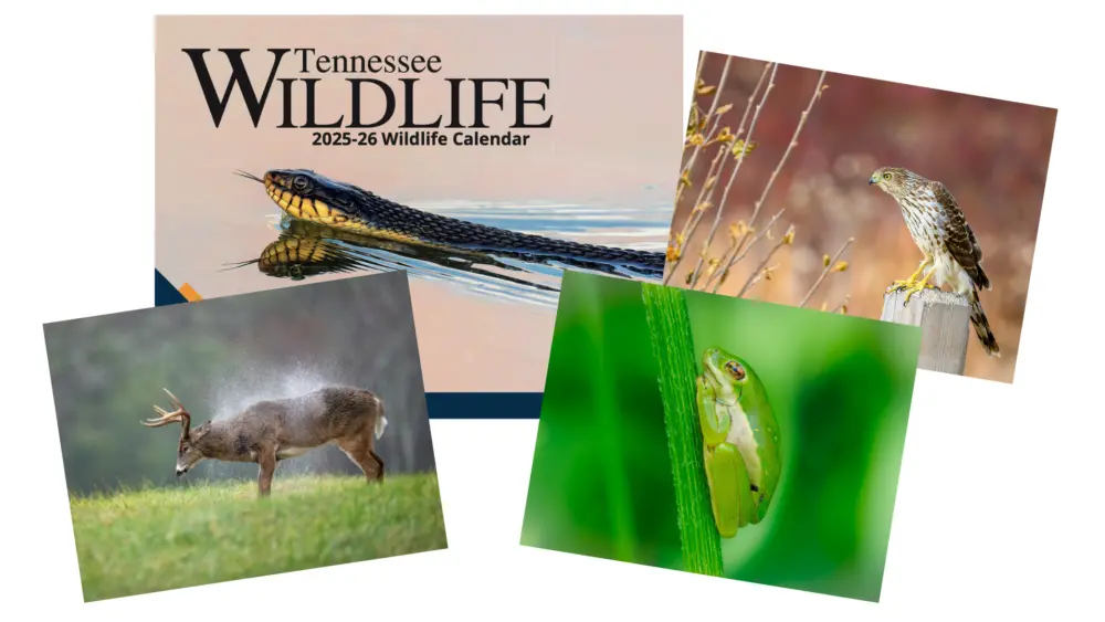 2025_26_calendar_spread