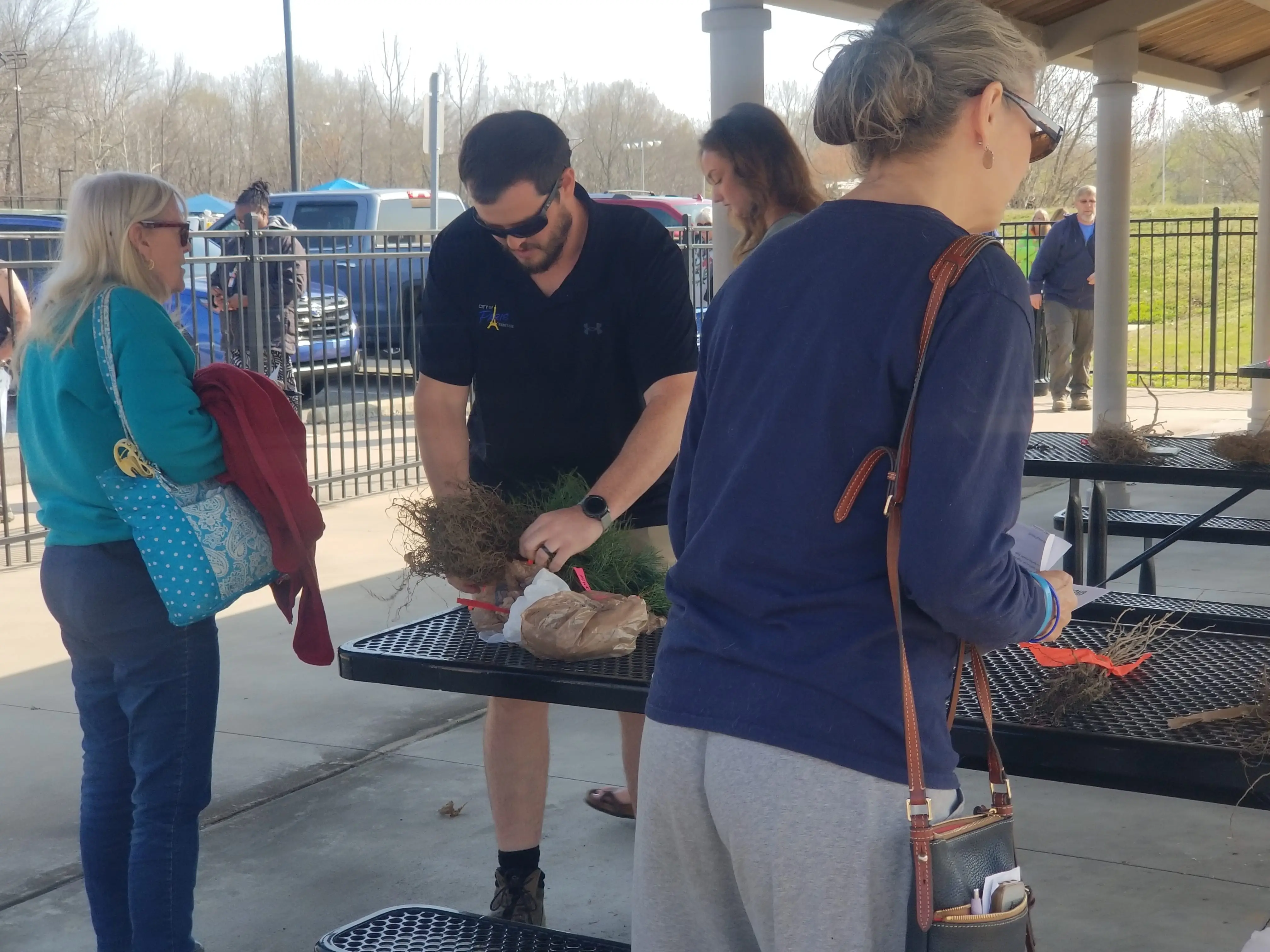 trees-26-caleb-murname