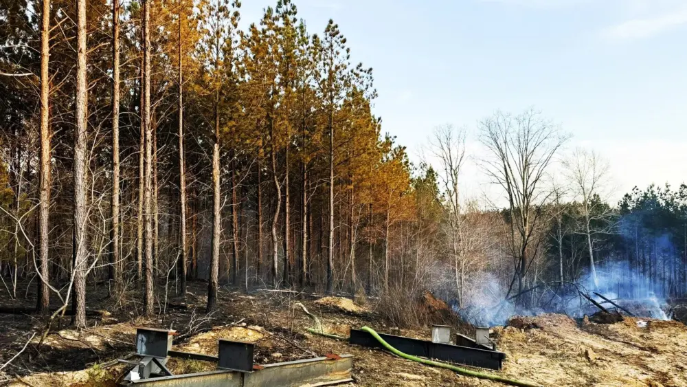 stewart-co-brush-fire