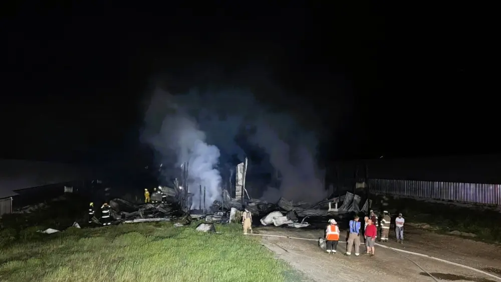 palmersville-chicken-op