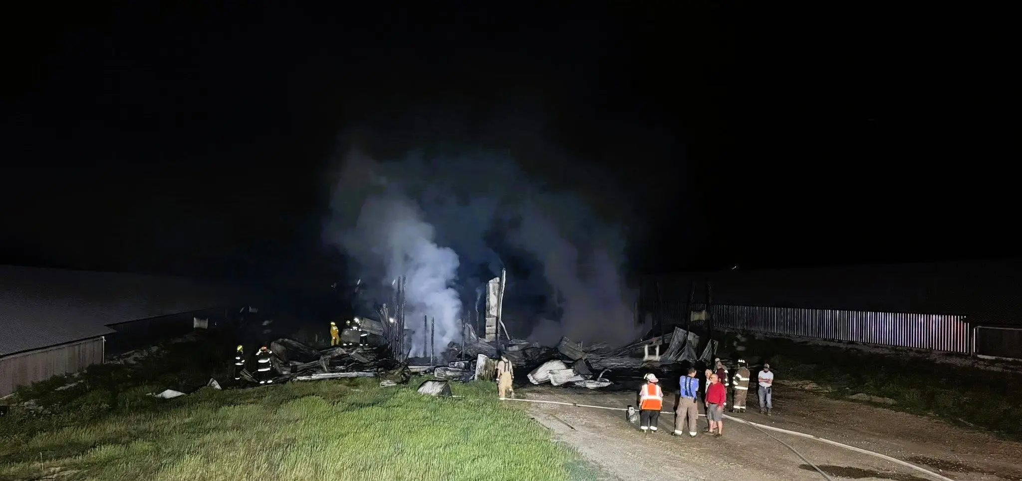 palmersville-chicken-op