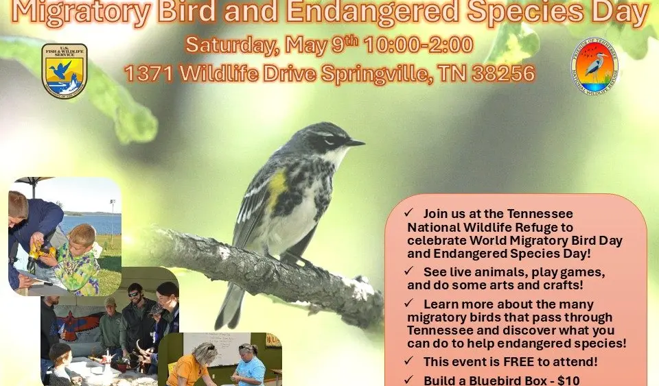 refuge-spring-fest