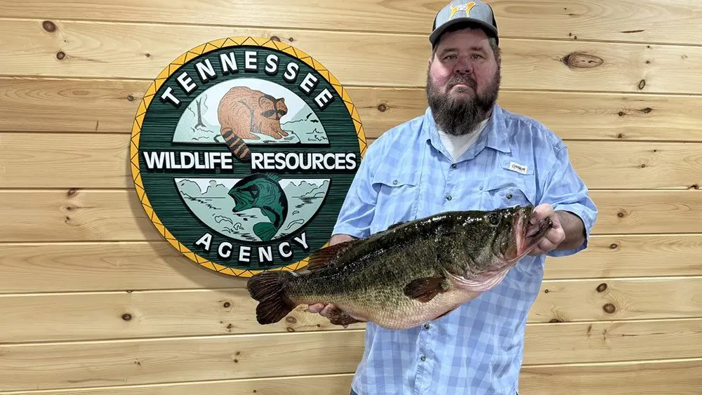 fish-record