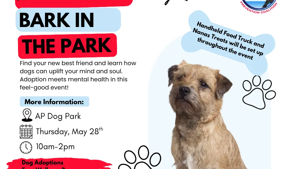 bark-in-the-park-2