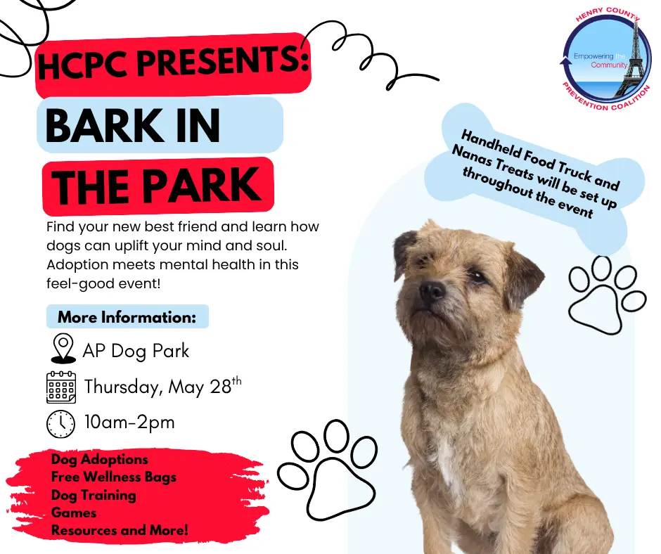 bark-in-the-park-2
