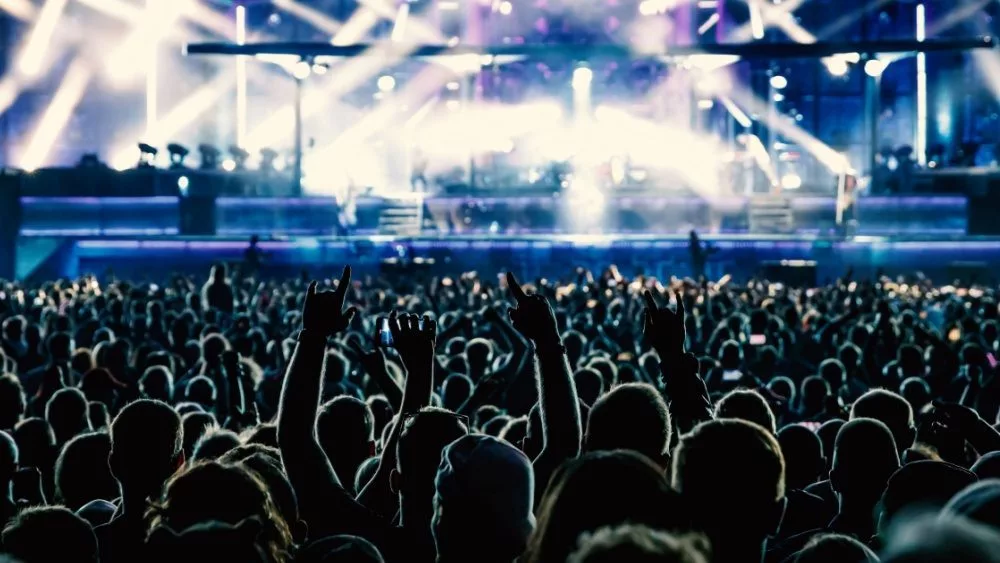 The crowd in a fan zone in a concert hall. Raised hands during a music show