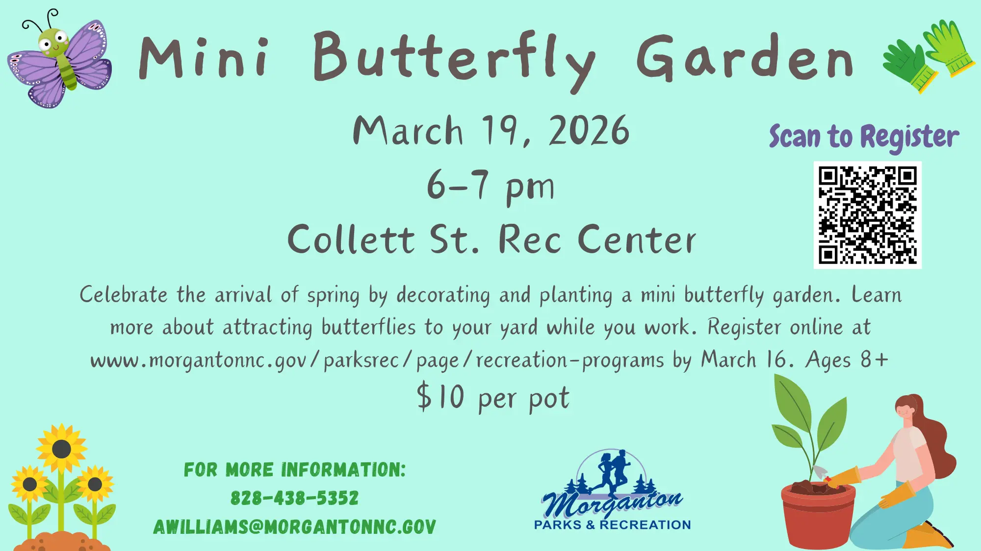 mini-butterfly-garden