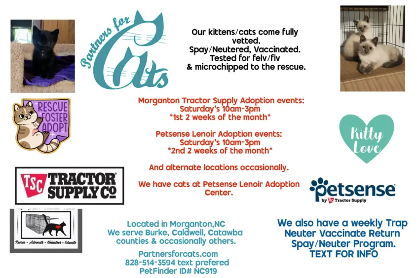 collage_2026-03-22_12_43_37