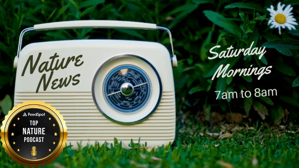 nature-news-with-badge