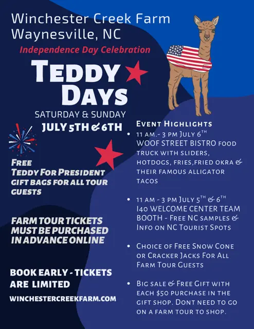 teddy-days-1