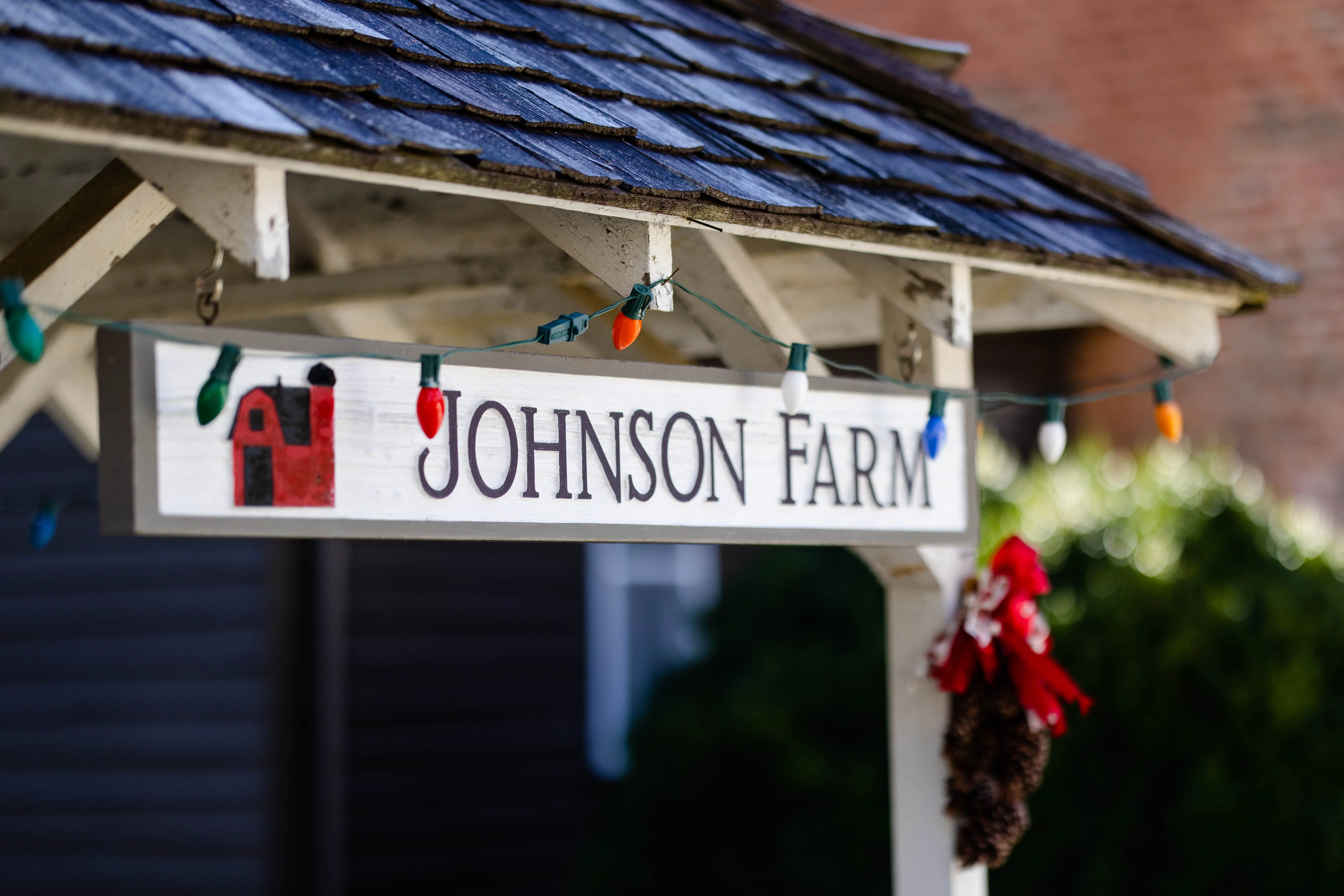 farm-christmas-2025-the-old-well-shed