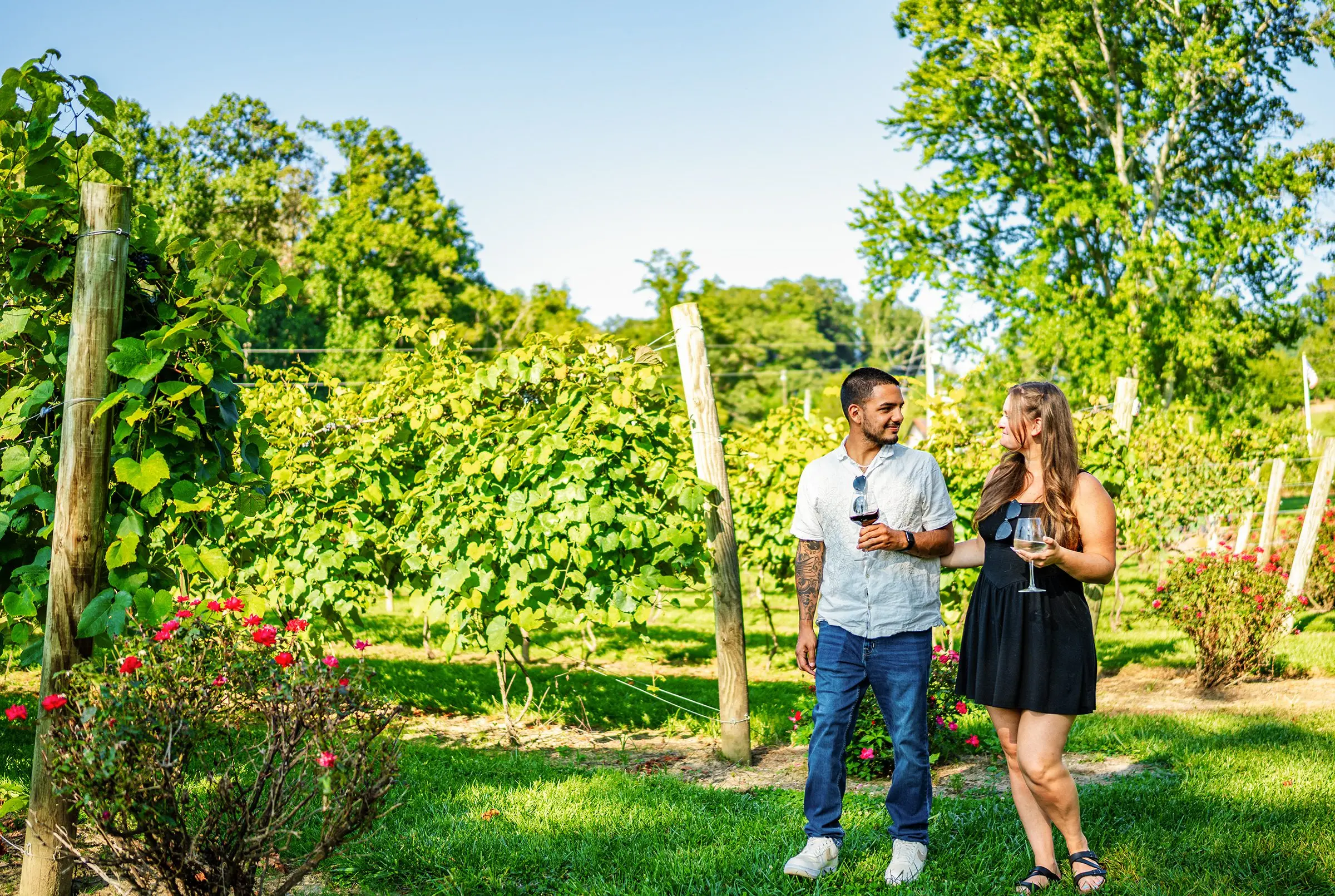 souther-williams-vineyard-sipping-tour-cider-wine-dine-weekend-credit-jared-kay