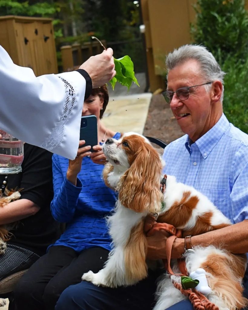 Blessing of the Animals