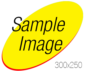 300x250-heading2