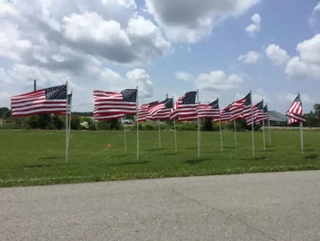 flags