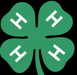 4-h