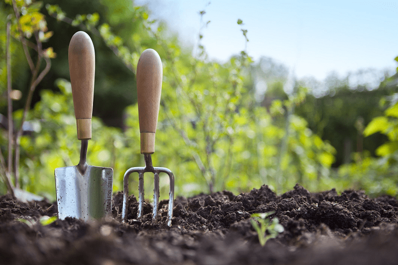 gardening