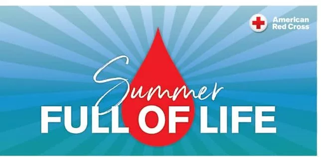 b2d5ff86-552b-4de1-8dac-58654c63e8b8-2