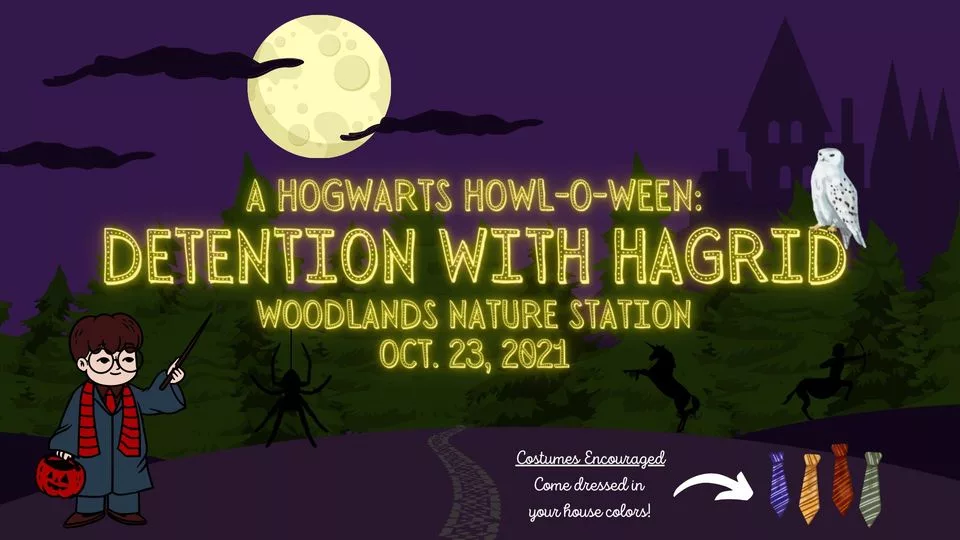 241239049_834491617429829_4134443019996877133_n