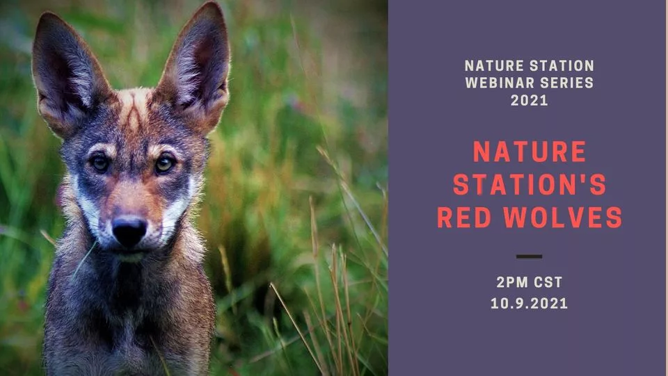 238934275_823833575162300_9040353033651671849_n