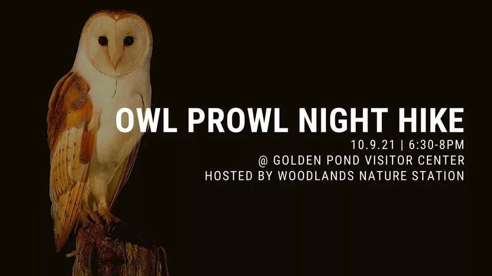 239936300_828870107991980_6688091411770411629_n