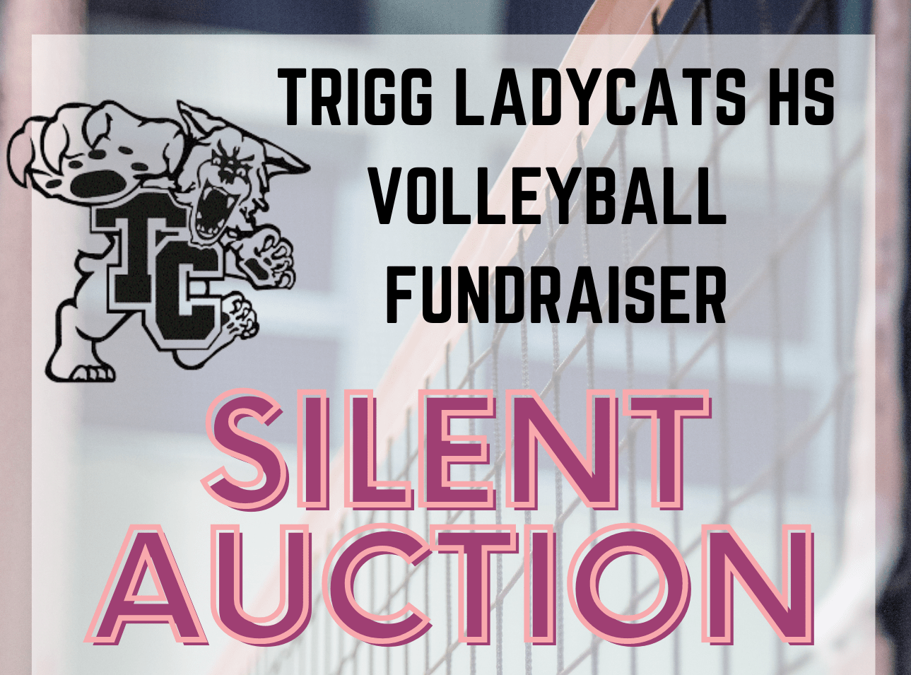 trigg-ladycats-volleyball-fundraiser-2
