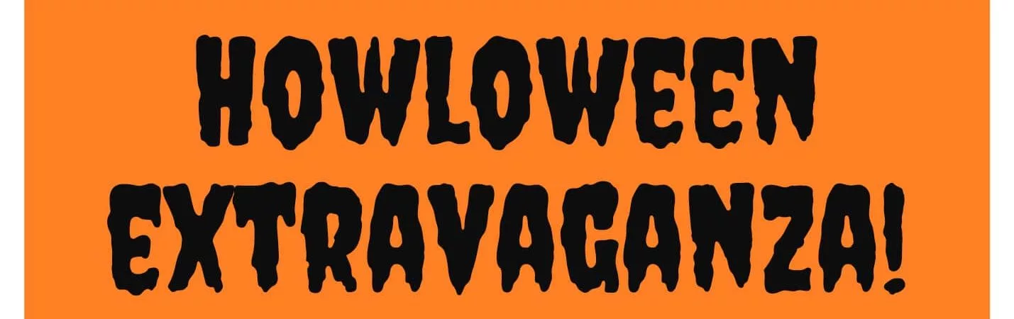 241687919_374359844274171_7519070044228257493_n-2