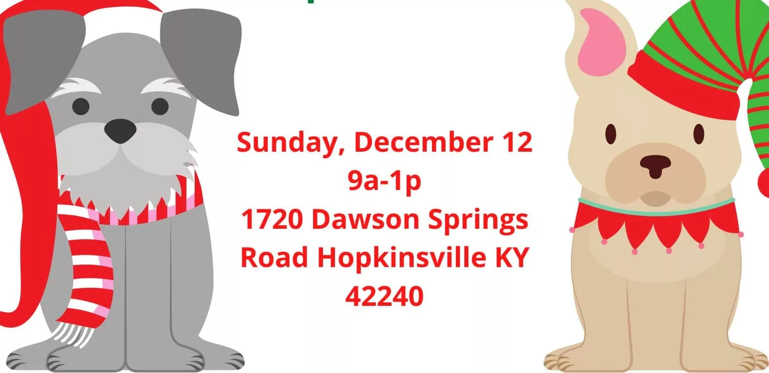 258731267_122479073559779_649716239728087501_n-2