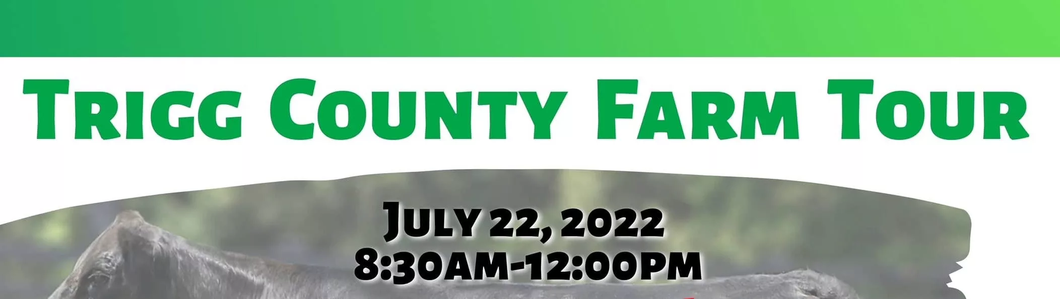 ttft-postcard-postcard-2