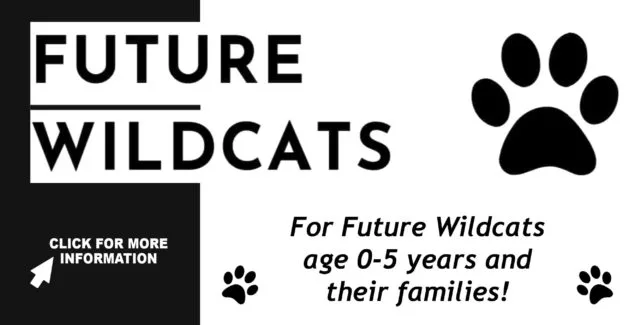 future-wildcats-slider