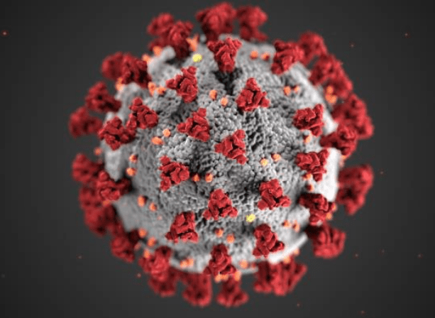 covid-19-coronavirus-32