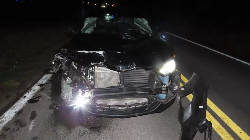 20231231072547_img_5137