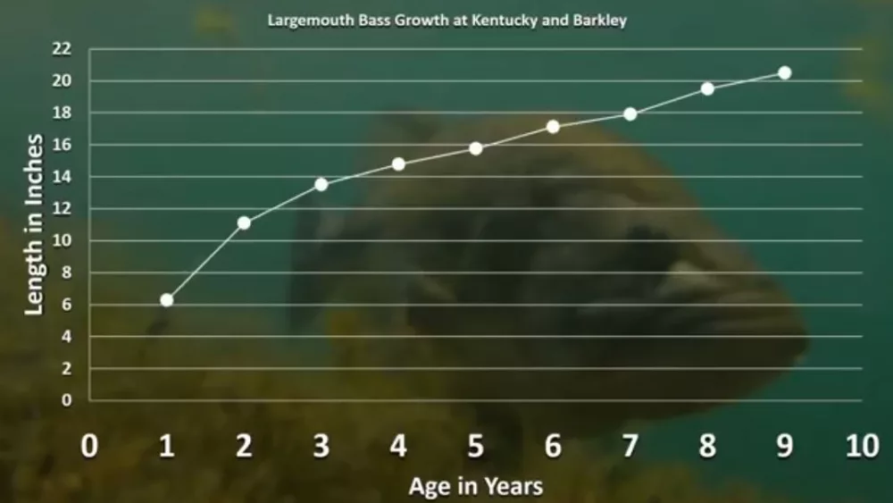 age-chart-1