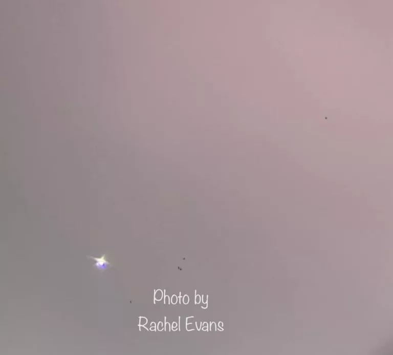 balloon