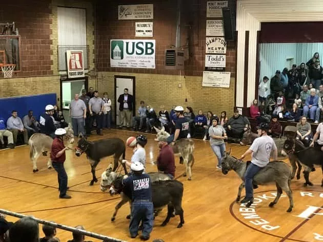 pembroke-donkey-ball-2019-24-e1551703299513