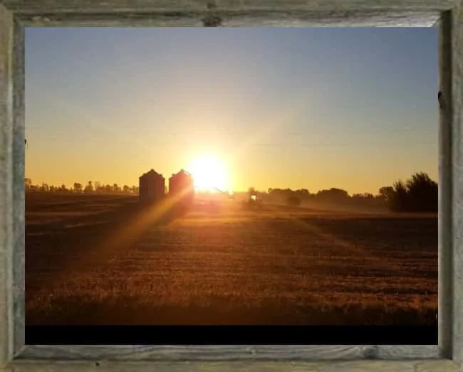 latf-beautiful-day-on-the-farm-michelleatwell