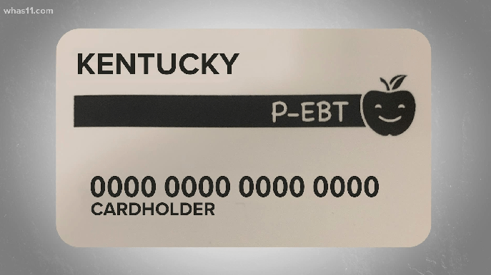 p-ebt-card