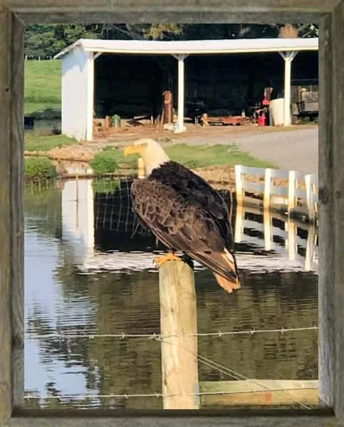 latf-justhangingaround-stephanie-keller-2