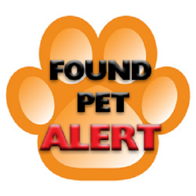 found-pet