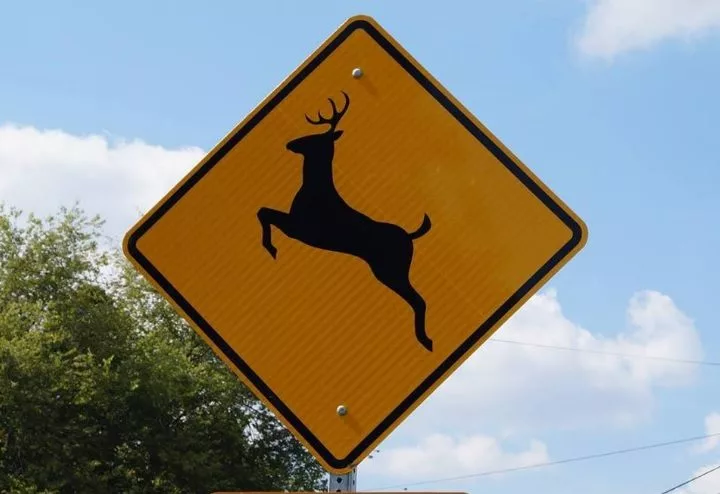 kytc-deer-crossing-sign-e1633532788131