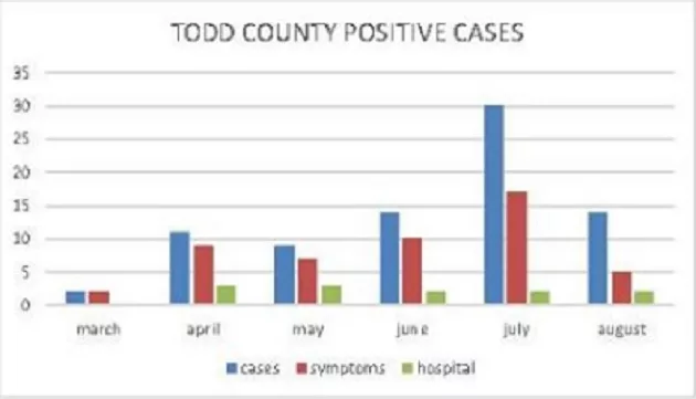 08-07-20-todd-co-health-dept-covid-chart