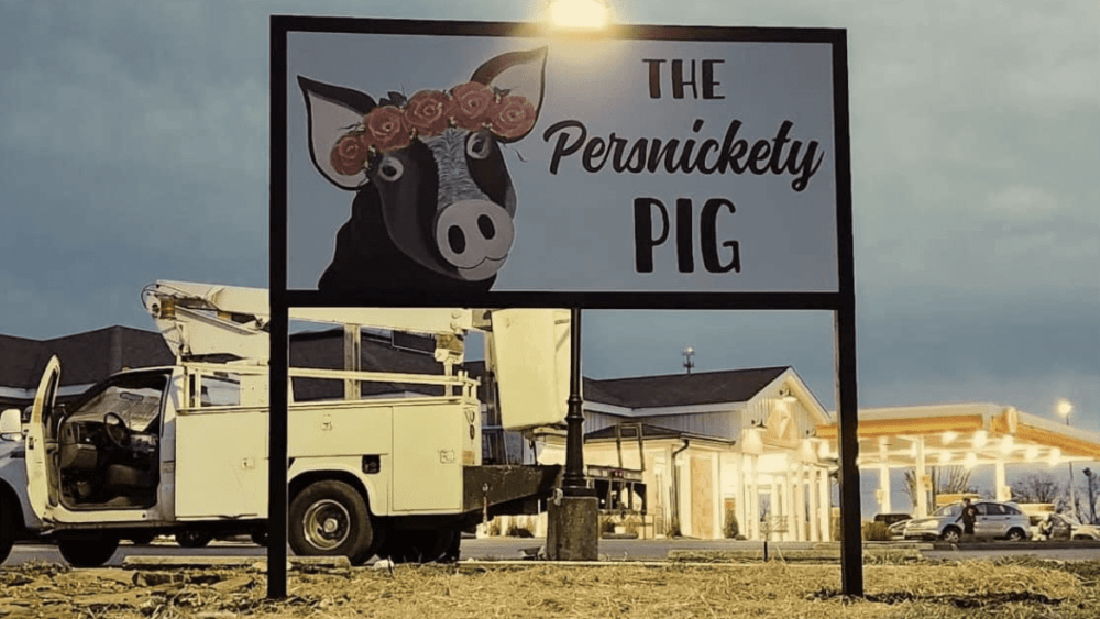 persnickety-pig