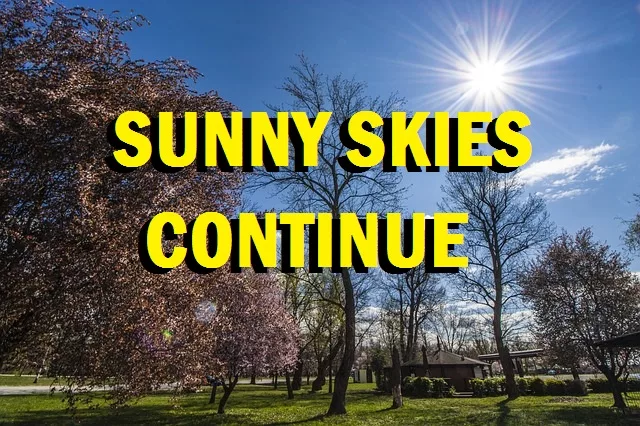 sunny-skies1-4